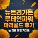 뉴트리파워 | 뉴트리가든 루테인파워 마리골드 후기: 직장인 눈 피로 해결하는 고순도 가성비 비결