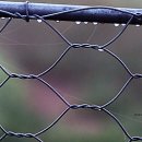 새벽목장 이미지