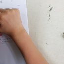 아벨영재수학학원 이미지