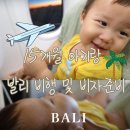 신청과야채 | 15개월 아기와 발리비행 및 비자준비 7시간비행 올인도네시아 공항입국심사 비행간식