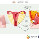 온기담은 한의원 이미지
