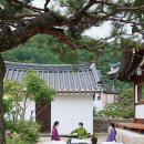 함양당(含陽堂) 네이버블로그