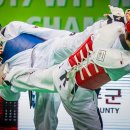 용인대 영웅태권도 이미지