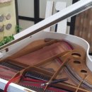 삼계한의원 이미지