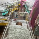 산본제일병원(26042) | 출산일기 2편 1인실 대기 후 겨우 입소했던 1월 산본제일병원 산후조리원 후기