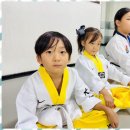 하나태권도체육관 | 여수유치부태권도 대호태권도체육관 체험 후기