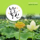 별통신