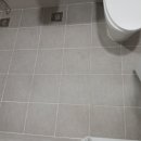 박달금호 이미지