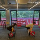 바이디짐 네이버블로그