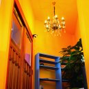 아데초이 이미지