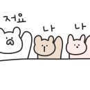 꼬모플레리 이미지