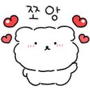 해피애견타운강아지분양서울본점 말티푸 미니비숑프리제 포메 이미지