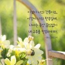 홰 이미지
