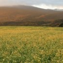 산진농장 이미지