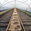 내흥리농장 | 충남 공주 특화작물