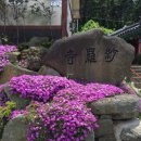 제주항구 이미지