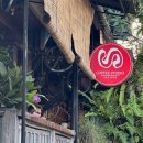 스튜디오카페느릿 | 우붓카페 세니만 커피 스튜디오 coffee studio seniman