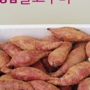 월출농장 네이버블로그