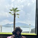 우경약품 | 아르떼리조트 사천숙소 사천풀빌라 사천오션뷰숙소 단독풀빌라 솔직후기 방문후기