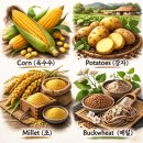 화전민촌 | 화전민 뜻