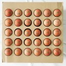 바른축산농장 이미지