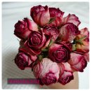 향기 있는 도서관(방향제 만들기) 이미지