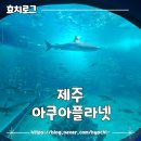 제주해양과학관 (아쿠아플라넷) | 제주 태교여행 아쿠아플라넷 힐링하고 온 후기