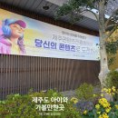 놀멍쉬멍 | 제주도 아이와 가볼만한곳, 서귀포 애니카페 놀멍쉬멍 솔직 후기