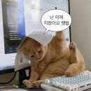 뇌 빼고 사는 세미 시험기간 | 2023. 11. 5. - 2023. 11. 12.