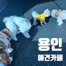 아띠멍