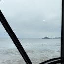 SR프라자 | 인천 영종도 투어🌅 :: SR호텔 후기 | C27다운타운카페 | 인천 자연도 소금빵 본점🥐 | 서해안조개광장...