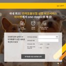 아이펫