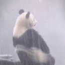 홀리몰리 이미지