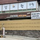 디엠스파