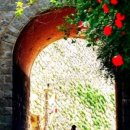 항구도시 이미지