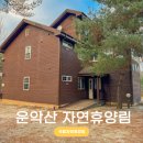 국립 운악산 자연휴양림 연립동 구절초 1박2일 후기