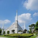 디 에이치 에스 이미지