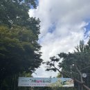 숲속옹달샘도서관 | 2025 북웨이브 가족숲속도서관 참석 후기(숲속 기분 좋은 책바람)