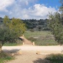 자연 애개 이미지