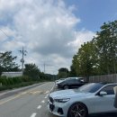 백설애견 이미지