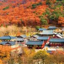지정32 이미지