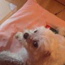 중흥피아노학원 이미지