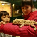 개실마을_3 이미지