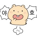 신라스테이 해운대 호텔 이미지