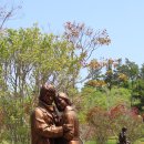 회진농장 이미지