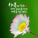 09월 21일(목) 신문을 통해 알게된 이야기들 이미지