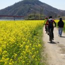 다압면 무료대여소 이미지