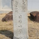 순천-44호 이미지