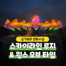 비젼기프트 | 싱가포르 센토사 섬, 해리포터-루지-윙스오브타임, 아이와 방문 후기