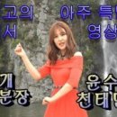 천태만상 이미지